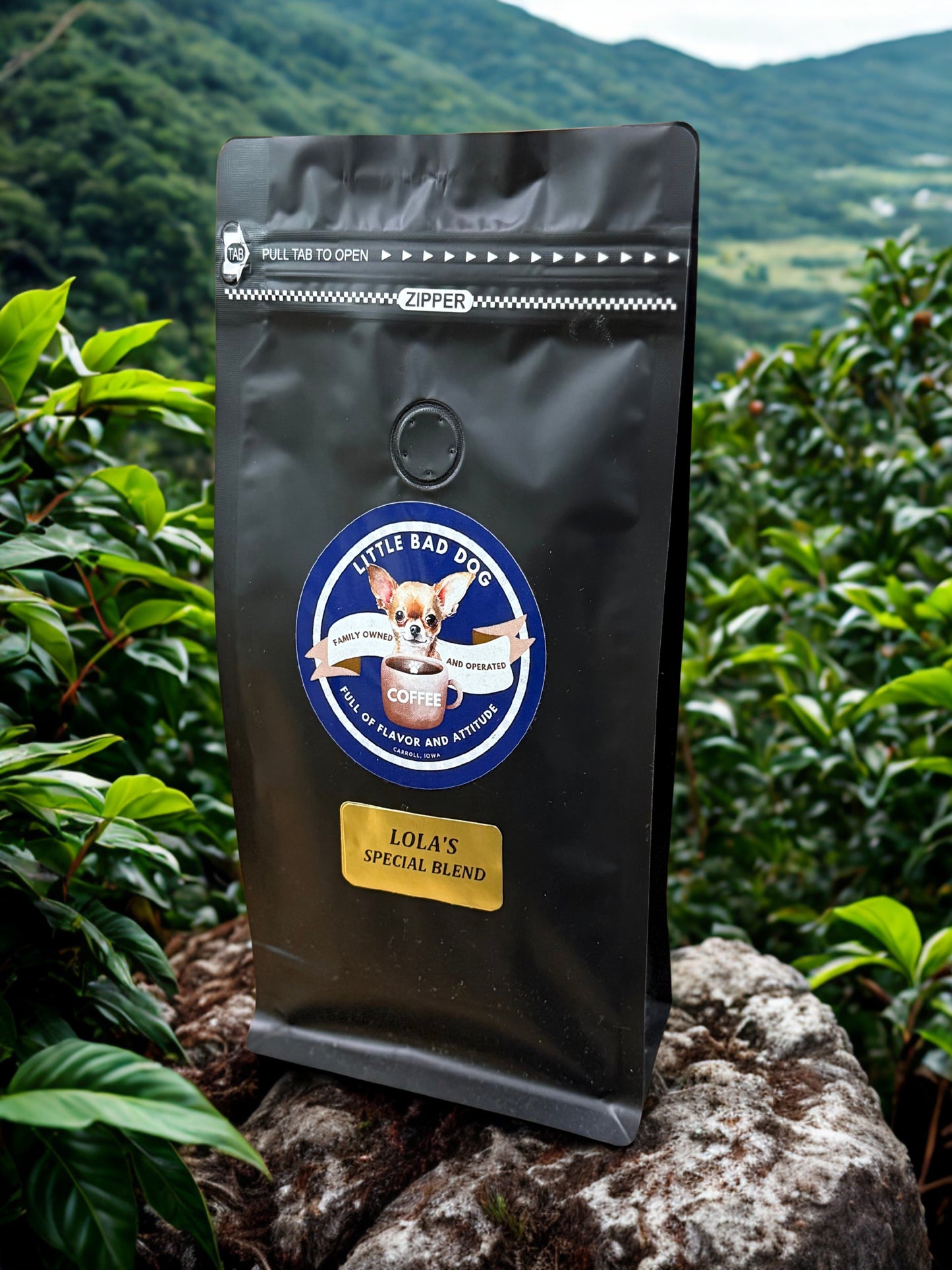 Lola's Special Blend